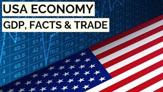 The USA Economy GDP Facts amp Trade 🇺🇸 [upl. by Eimiaj]