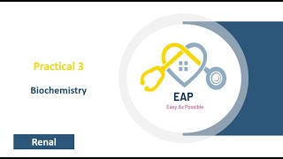 Practical 3  Biochemistry  Renal [upl. by Zigmund584]