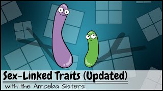 Punnett Squares and SexLinked Traits UPDATED [upl. by Aihsia]