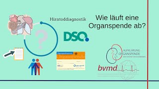 Wie läuft eine Organspende ab  Aufklärung Organspende [upl. by Kenlay]