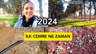 💯CEMRE NE ZAMAN DÜŞÜYOR❓️İLK CEMRE NEREYE DÜŞÜYORcemre ilkbahar [upl. by Anujra]