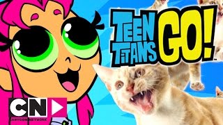 Teen Titans Go  quotLittle Buddiesquot clip [upl. by Montagu463]