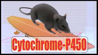 CytochromeP450 Interactions Mnemonic [upl. by Shulock]