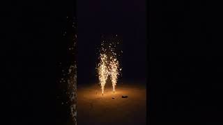 XF2005 Gold Sparklers 3m 30s Triplex 2024 fireworks triplex fountain [upl. by Hedve614]