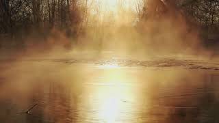 A Misty Morning Meditation  Unguided 25 minutes birdsong and meditation music [upl. by Dnaloy]