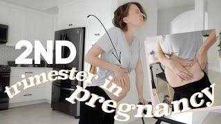 I Filmed My ENTIRE Second Trimester  Weeks 1327 weight gain pelvic pain belly growth [upl. by Ut921]