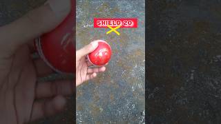 SG Seamer vs All SG Shield 20 😲🔥 Best Quality SG Premium Leather Ball Under 500 rs Cricket cricket [upl. by Newg814]