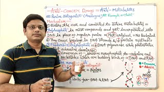 Anticancer Drugs Part08 Antimetabolites  Purine Analogue or Antagonist  Anti Cancer [upl. by Hayton]