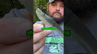 The Best Bait For Fall Bass [upl. by Hurley]