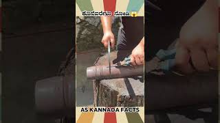 Worlds Sharpest Solid Knife  kannada facts karnataka amazing youtubeshorts trendingshorts [upl. by Clarice267]