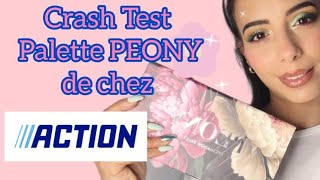 Crash Test palette PEONY MaxampMore de chez ACTION😍 [upl. by Guthrey]