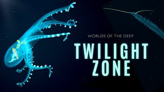 Mysteries of the Twilight Zone  Worlds of the Deep [upl. by Haskel250]