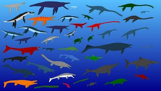 44 Largest Extinct Reptiles  Size Comparison  Plesiosaurs Pliosaurs Ichtyosaurs Mosasaurs [upl. by Elayor732]