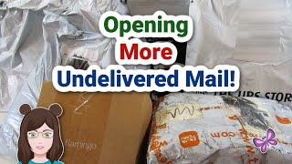 Opening UNDELIVERED MAIL Again Was It Worth It [upl. by Jelsma]