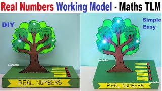 real numbers working model maths tlm for exhibition  diy  maths project  class 910  craftpiller [upl. by Schilling]