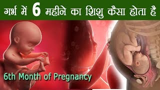 6 month of Pregnancy Baby Development गर्भावस्था का छठा महीना शिशु का विकास और वजन [upl. by Hope54]