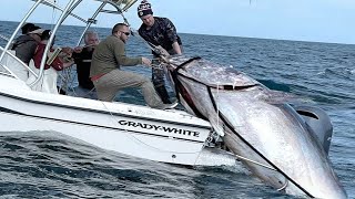 Amazing Fastest Giant Bluefin Tuna Fishing Skill  Most Satisfying Sea Fishing Video [upl. by Philan]