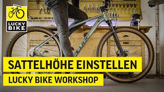 Sattelhöhe richtig einstellen  Einfach den Fahrradsattel richtig einstellen [upl. by Micki361]