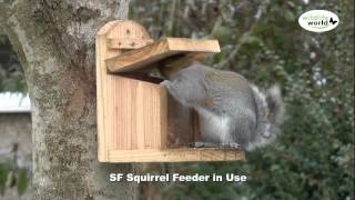 The Wildlife World Squirrel Feeder product in use [upl. by Siryt]