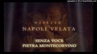 Pietra Montecorvino  Senza Voce Official Soundtrack Napoli Velata  Ferzan Ozpetek [upl. by Hairahcez]