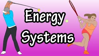 Energy Systems  ATP Energy In The Body  Adenosine Triphosphate  Glycolysis [upl. by Garlaand545]