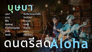 บุษบา  เมนทอล  ดนตรีสดAcoustic Cover [upl. by Tunnell]