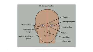 Topography and Morphology of the Skull [upl. by Moguel989]