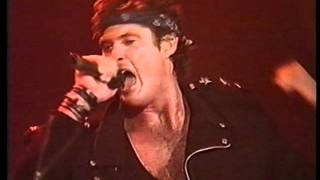 David Hasselhoff  Looking For Freedom Live in Berlin 1989  Interview [upl. by Yrkcaz]