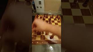 Gana con el Ataque Fegatello🚀♟️🤯 chess ajedrez ajedrezparaprincipiantes chessgame [upl. by Starr]