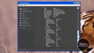 Find out your computers specifications with Speccy freeware utility by Britec [upl. by Aramal]