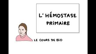 Hémostase primaire [upl. by Lamrej]