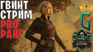 ПУТЬ НОВИЧКА — АНДЕГРАУНД СТРИМ  GWENT [upl. by Kling]