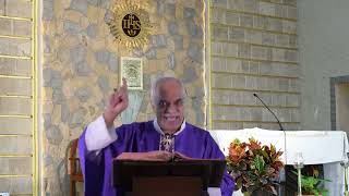 Saturday February 24 2024 Homily [upl. by Ococ952]