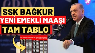 2024 YENİ EMEKLİ MAAŞ TABLOSU [upl. by Aihcila]