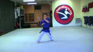 Pinan Nidan  Pinan 2 kata Goshin Karate amp Judo Academy  Scottsdale Arizona [upl. by Leira141]