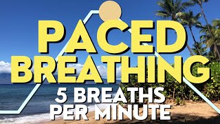 Paced Breathing 5 Breaths Per Minute 4161 [upl. by Peck]