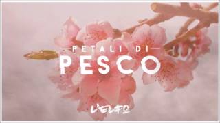 LElfo  Petali di pesco [upl. by Sucramd709]