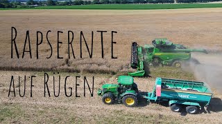 Rapsernte auf Rügen  John Deere X9 1100  Überladewagen [upl. by Trofmoc]