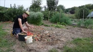 Le Potager du Paresseux  comment valoriser les déchets ménagers sans composter 12 sept 2017 [upl. by Oriane862]