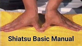 Shiatsu Basic Techniques Namikoshi [upl. by Willem48]