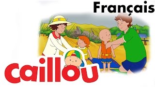 Caillou FRANÇAIS  Caillou cueille des fraises S02E17  conte pour enfant  Caillou en Français [upl. by Siol]