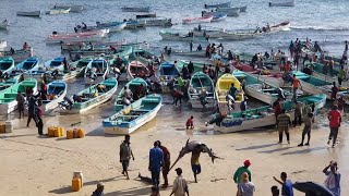 som fishing port in Indian Ocean [upl. by Batory]