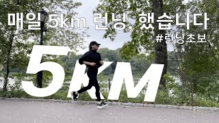 매일 5km 달리기를 했더니 생긴 일  달리기 초보가 시작하는 방법 [upl. by Rubia]