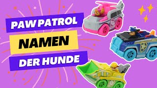 Paw Patrol Namen der Hunde und Figuren 🐾 Dogcode [upl. by Orofselet]