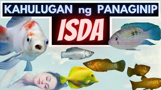 ALAMIN ANG KAHULUGAN AT IBIG SABIHIN NG MGA PANAGINIP NA MAY TUBIG  BHES TV [upl. by Lednar68]