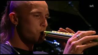 Meshuggah  Live At SVT TV Sweden 1997 HD Version [upl. by Annaigroeg]