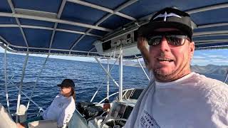 Marlin charter fishing out of Honolulu [upl. by Groos]