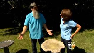 Gardening Guru Offers Tips On Creating The Perfect Bird Bath Fountain CBS Los Angeles [upl. by Yar]