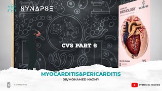 Myocarditisamp Pericarditis [upl. by Hachmin]