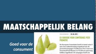 Waarom grijpt de overheid in [upl. by Idnew]